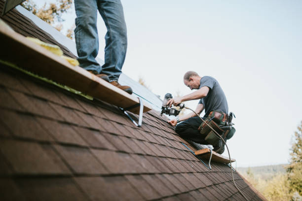 Best Roof Maintenance Services  in Newington Forest, VA